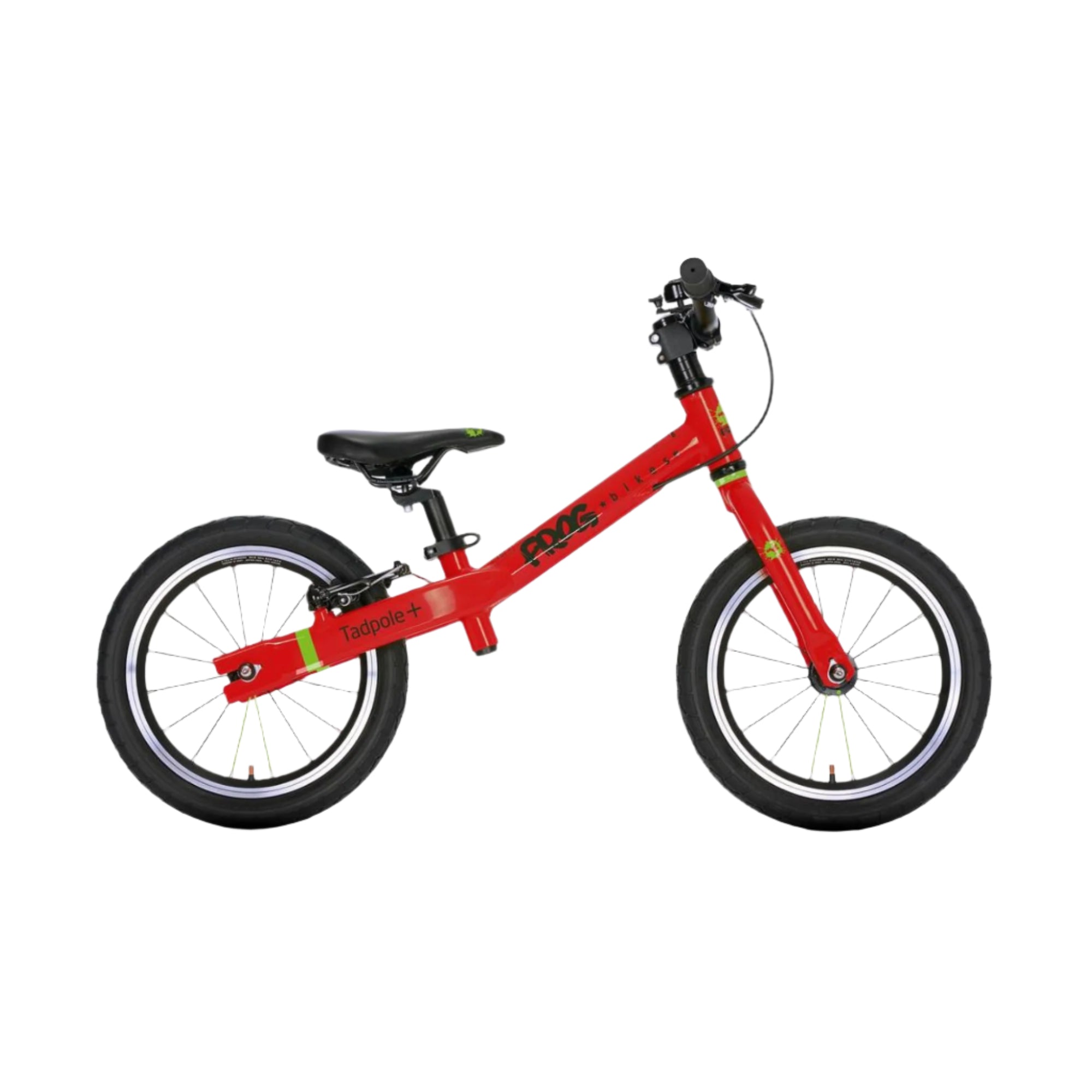 Tadpole plus (3-4 Years)