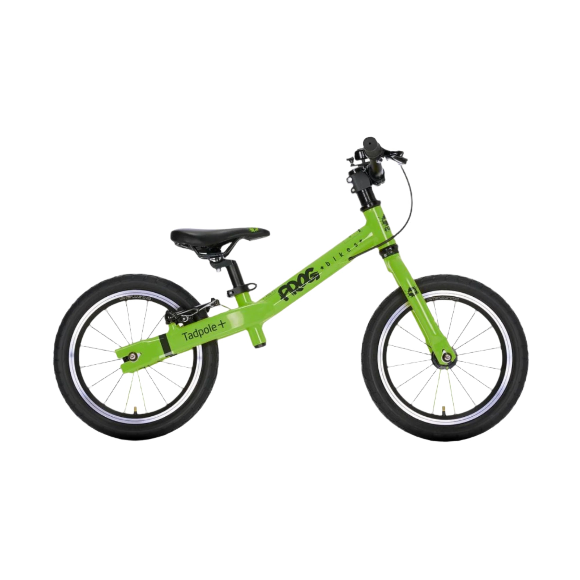 Tadpole plus (3-4 Years)